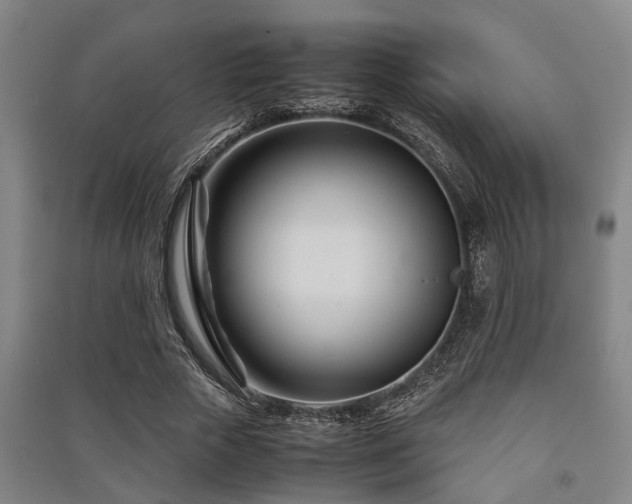 X0000091450729200708161257