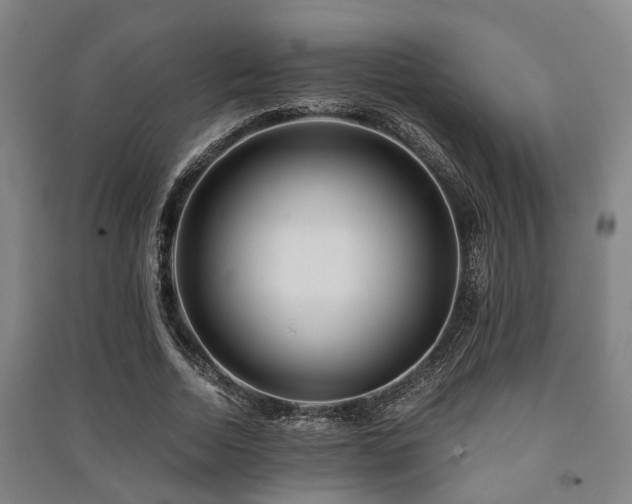 X0000091450730200708161257