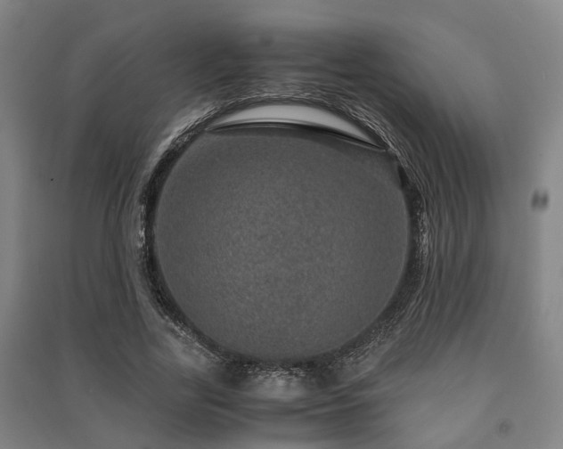 X0000091450731200708161257