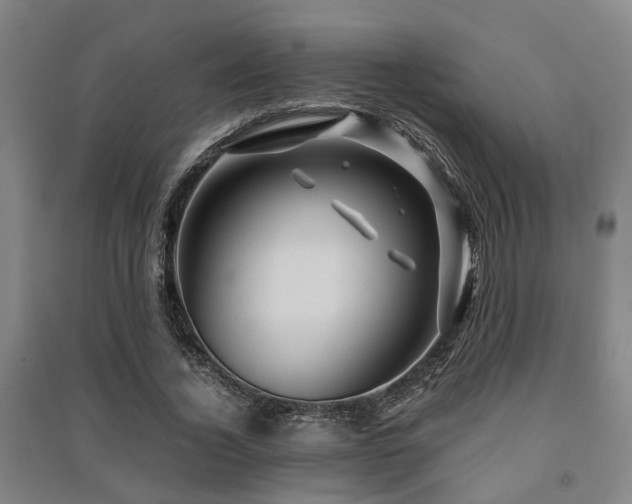 X0000091450732200708161257