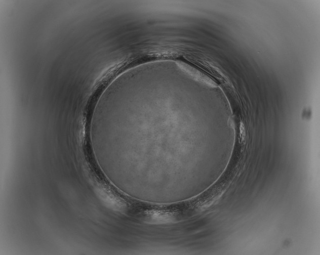 X0000091450733200708161257