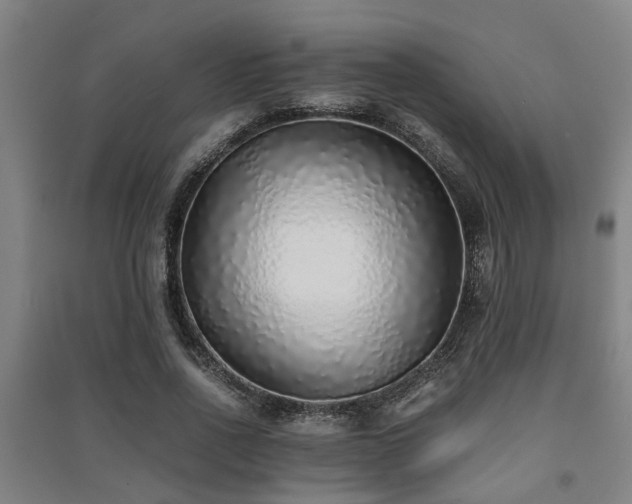 X0000091450734200708161257