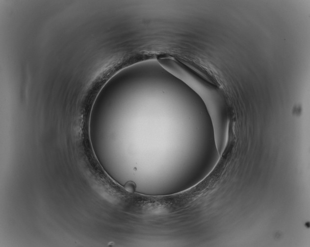 X0000091450735200708161257