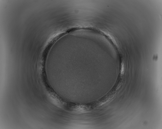 X0000091450736200708161257