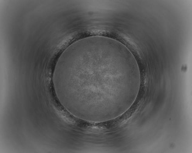 X0000091450737200708161257
