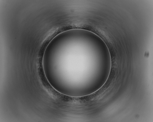 X0000091450738200708161257