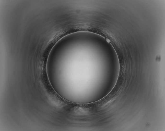 X0000091450739200708161257