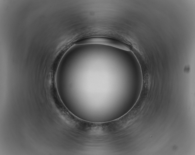X0000091450740200708161257