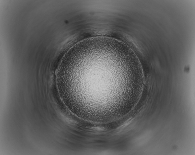 X0000091450741200708161257