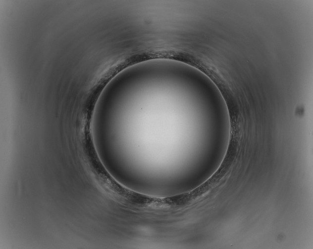 X0000091450742200708161257