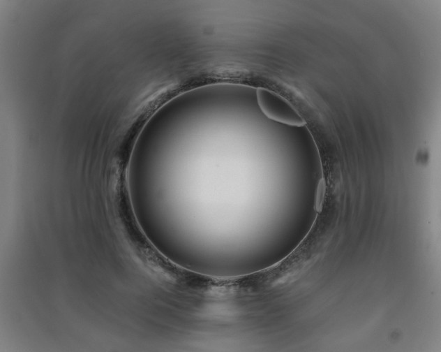 X0000091450744200708161257