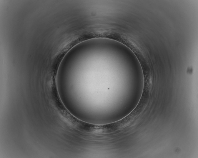 X0000091450746200708161257