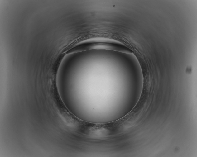 X0000091450747200708161258
