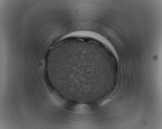 X0000091450748200708161258