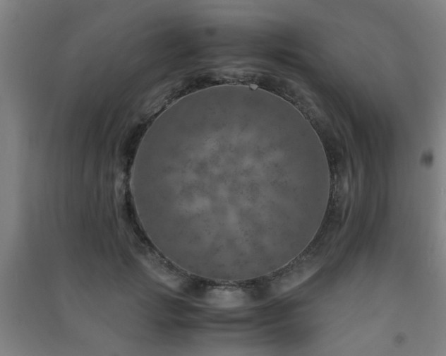 X0000091450749200708161258