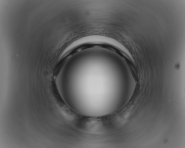 X0000091450750200708161258