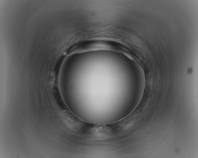 X0000091450752200708161258