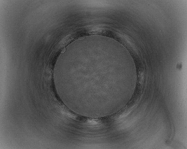 X0000091450753200708161258