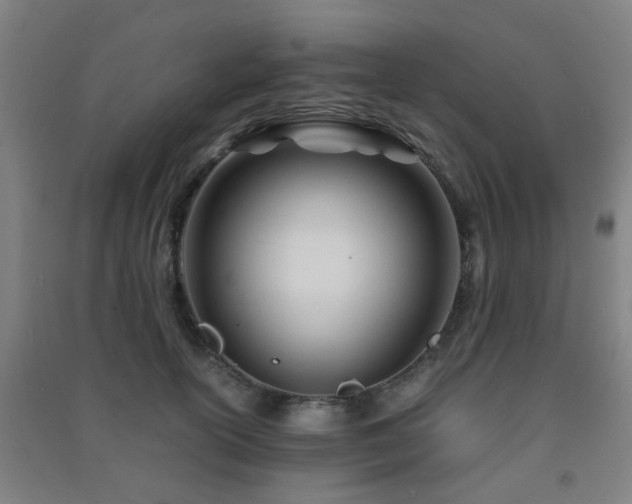 X0000091450754200708161258