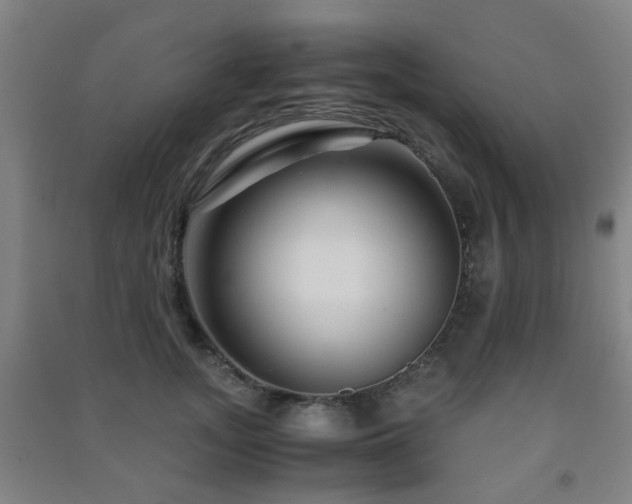 X0000091450755200708161258