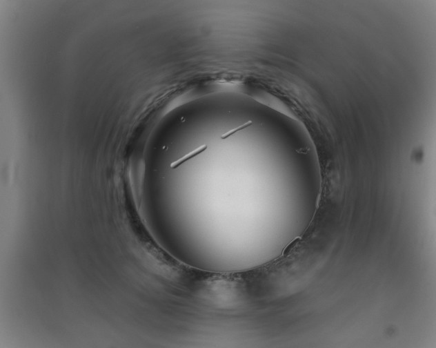 X0000091450756200708161258