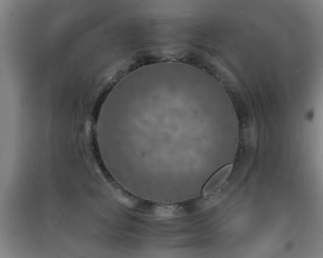 X0000091450757200708161258