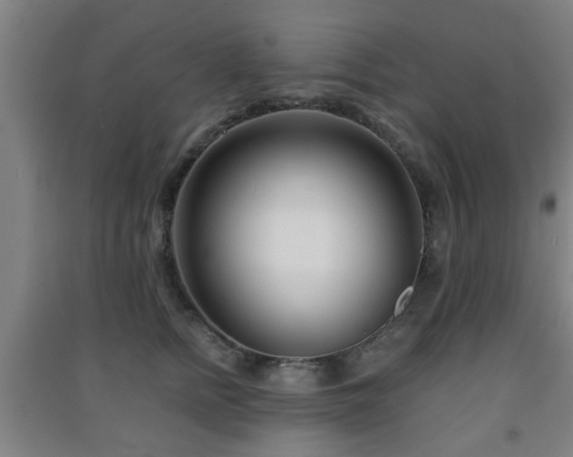 X0000091450758200708161258