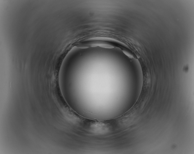 X0000091450759200708161258