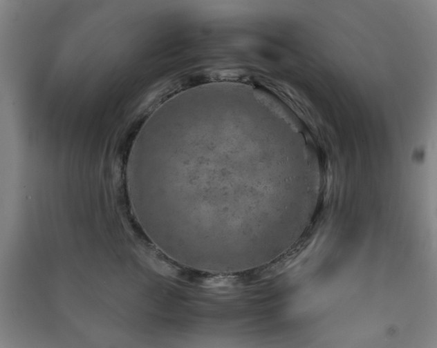 X0000091450761200708161258