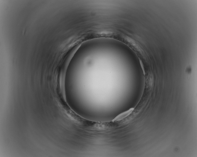 X0000091450764200708161258