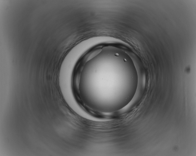X0000091450766200708161258