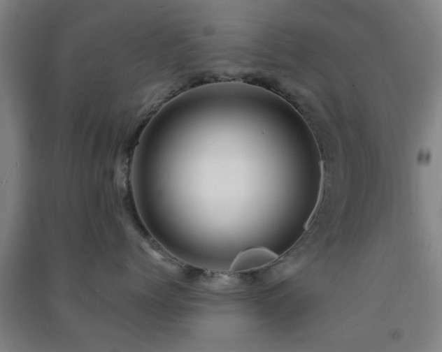 X0000091450768200708161258