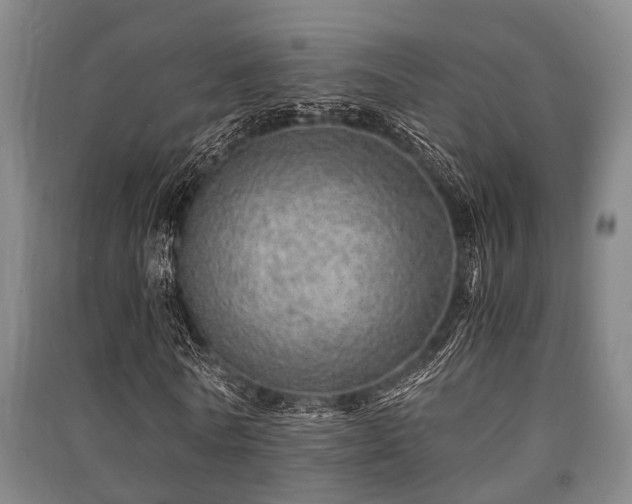 X0000091450770200708161257