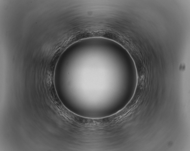 X0000091450772200708161257