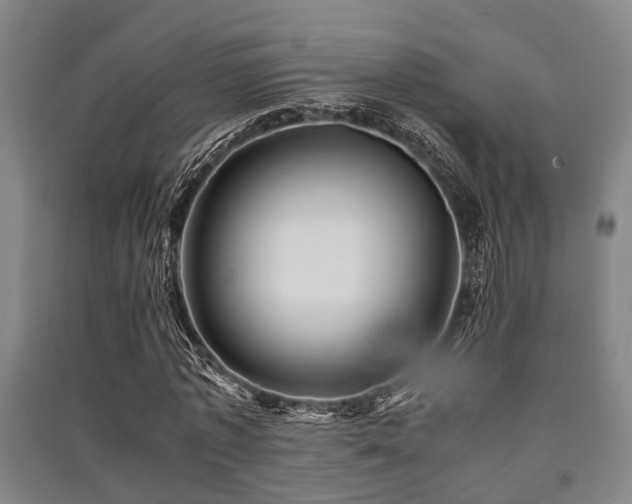 X0000091450773200708161257