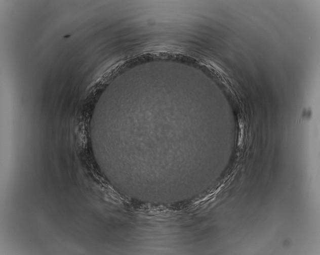 X0000091450774200708161257