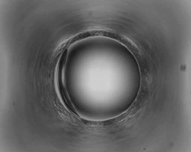 X0000091450775200708161257