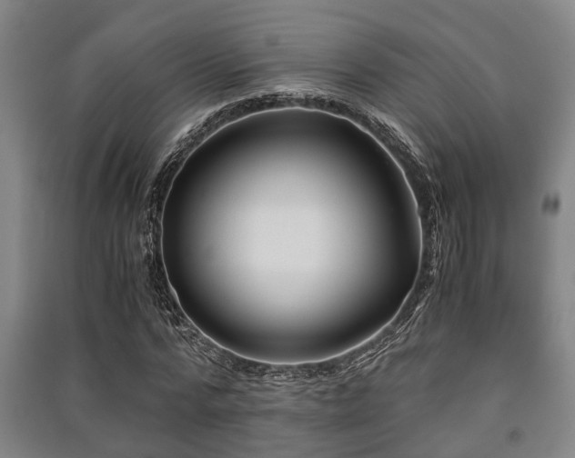 X0000091450776200708161257