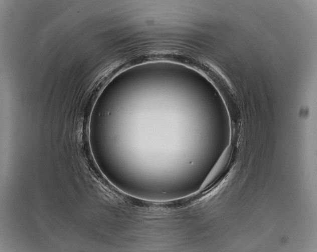 X0000091450777200708161257