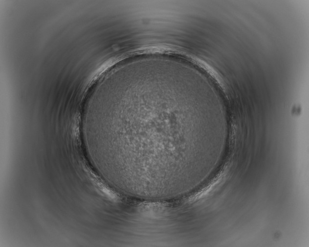 X0000091450778200708161257