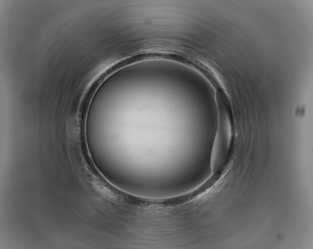 X0000091450779200708161257