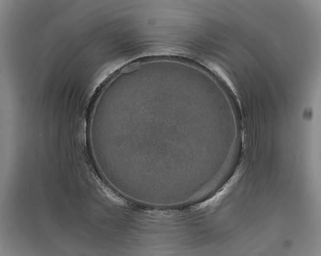 X0000091450781200708161257