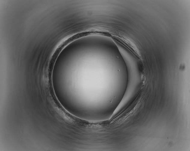 X0000091450784200708161257