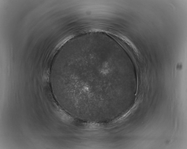 X0000091450785200708161257