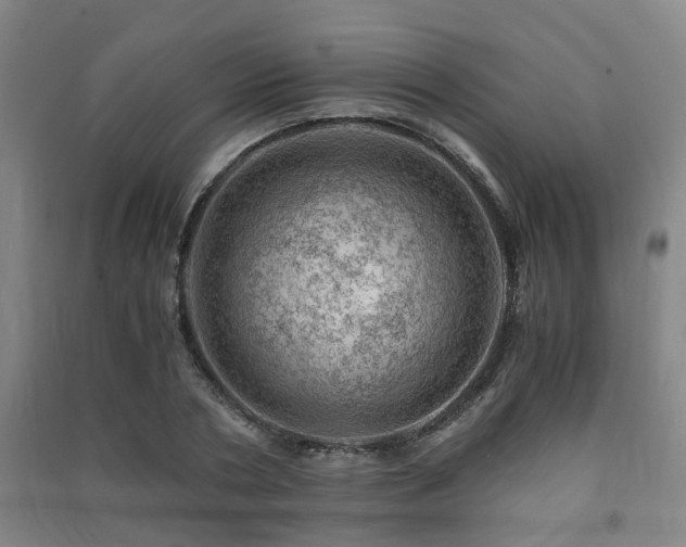 X0000091450786200708161257