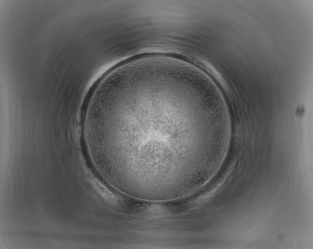 X0000091450787200708161257
