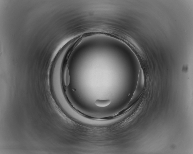X0000091450788200708161257