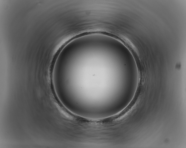 X0000091450789200708161257