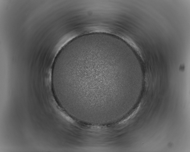 X0000091450790200708161257
