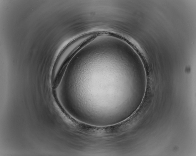 X0000091450791200708161257